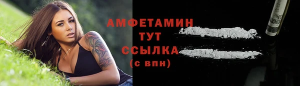 PSILOCYBIN Алзамай