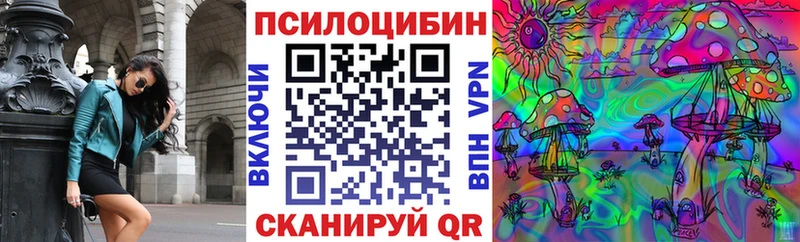 Галлюциногенные грибы Psilocybe  где купить наркоту  Дзержинский 